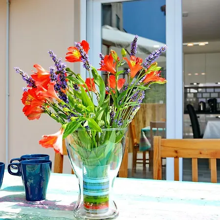 Gabi 2 公寓 扎达尔